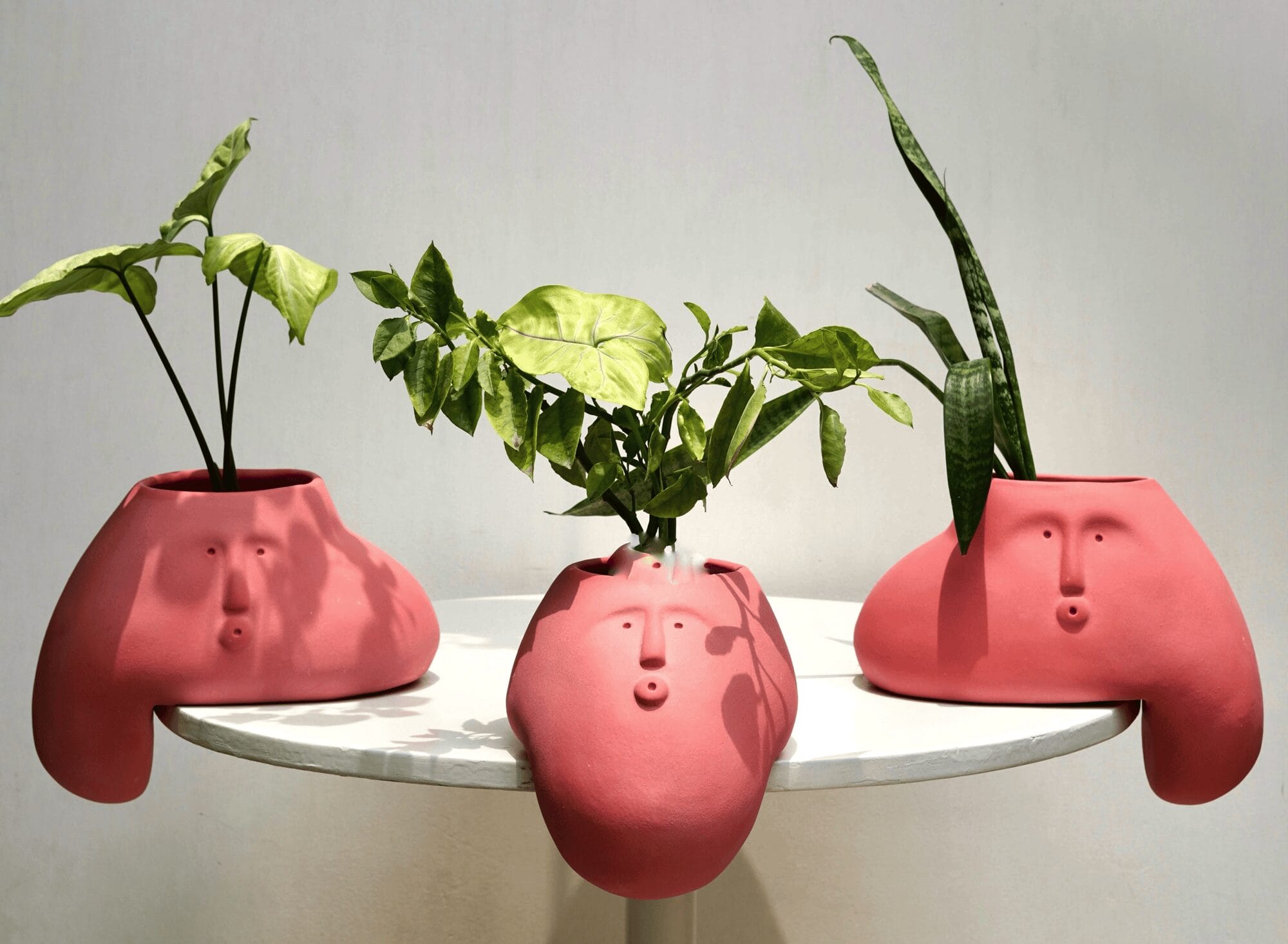 three pink blob-like vases that hang over the edge of a table. each holds leafy green plants and each has a face.