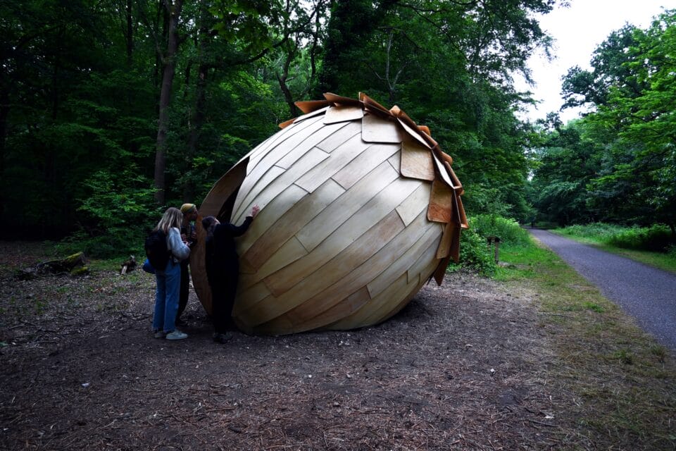 three people peer into the doorway of a large wooden acorn resting in a forest