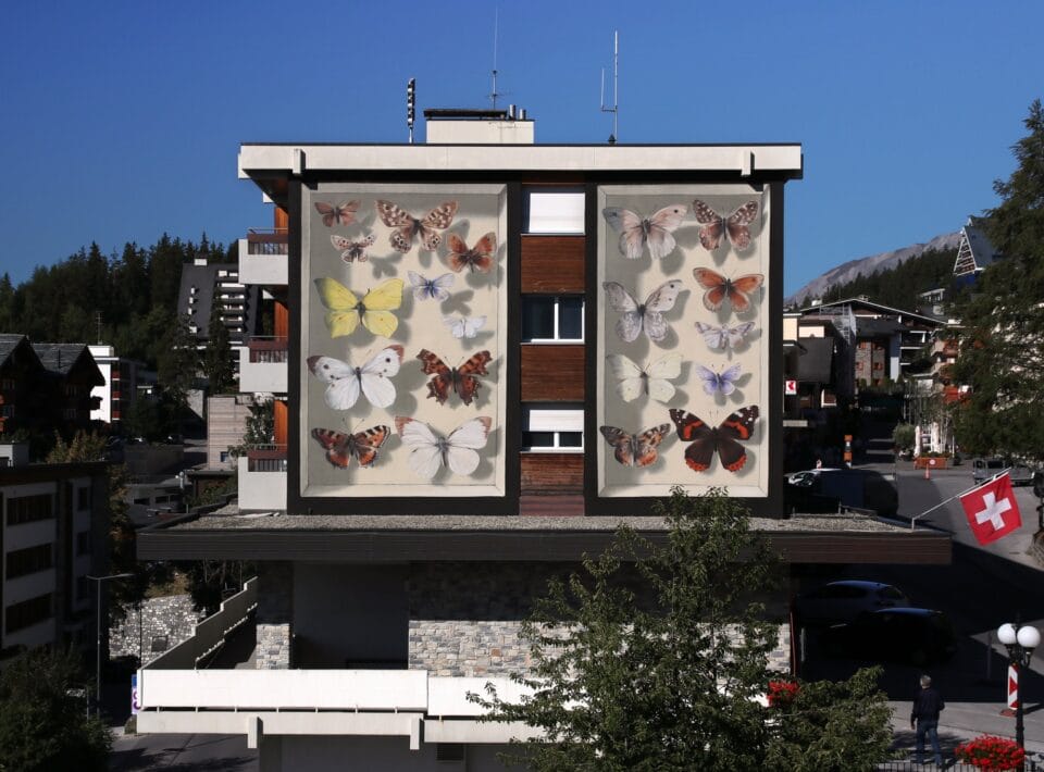 a giant mural on the side of a brick building of realistic butterflies arranged as if in a specimen case