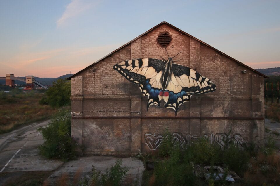 a mural of a large butterfly on the side of an old brick building, photographed at dusk