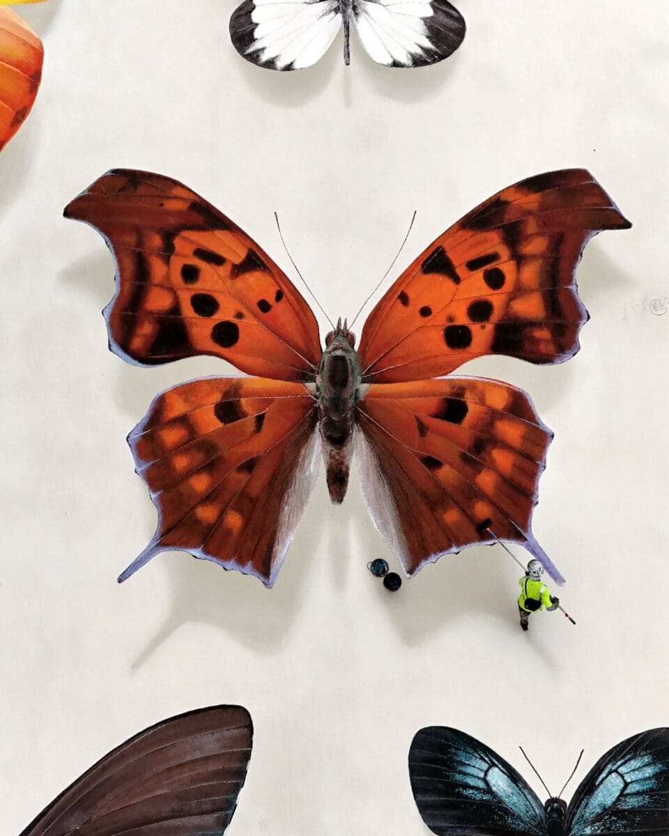 an aerial view of a person painting a giant rooftop mural of realistic butterflies