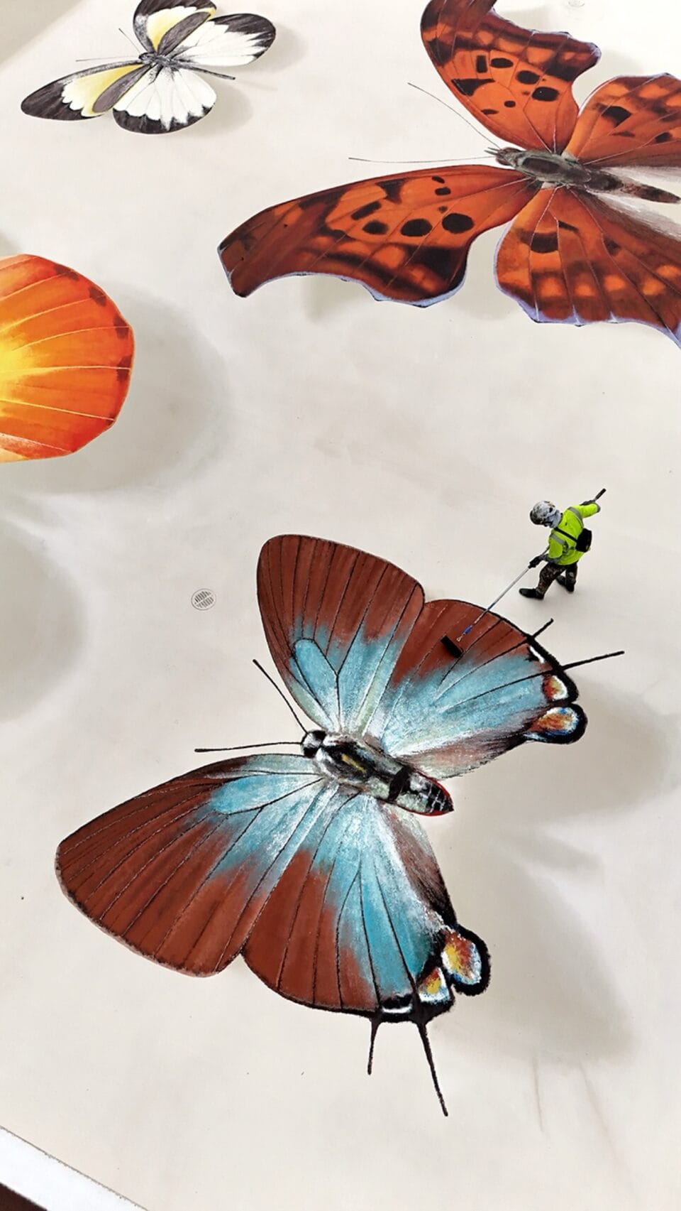 an aerial view of a person painting a giant rooftop mural of realistic butterflies