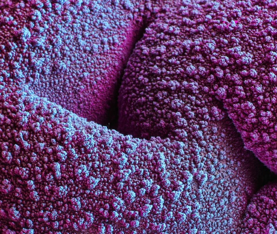 a detail of purple and blue lava glaze on a ceramic sculpture