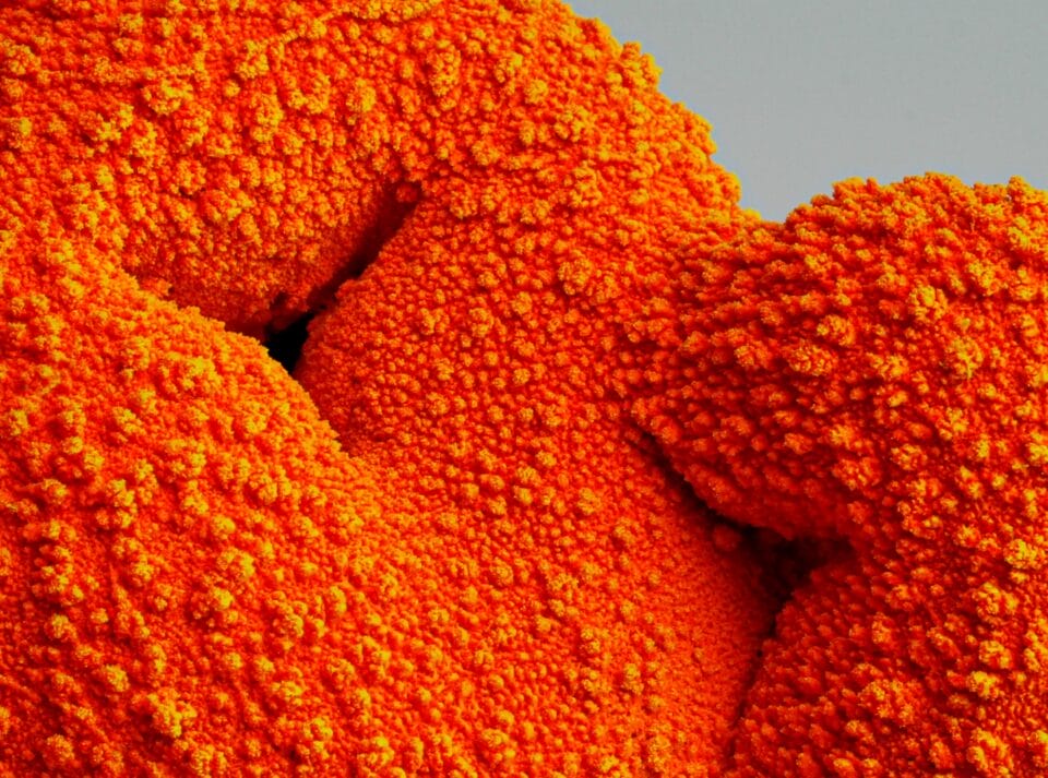 a detail of bright orange lava glaze on a ceramic sculpture