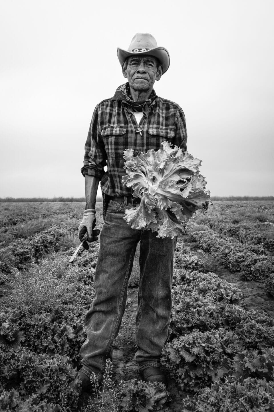 a black and white photo of a farmer in a cowboy hat and flannel shirt holding a head of cabbage in a field