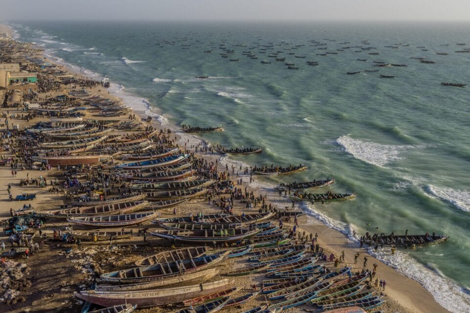 an aerial view of numerous fishing boats on the coast of Mauritania