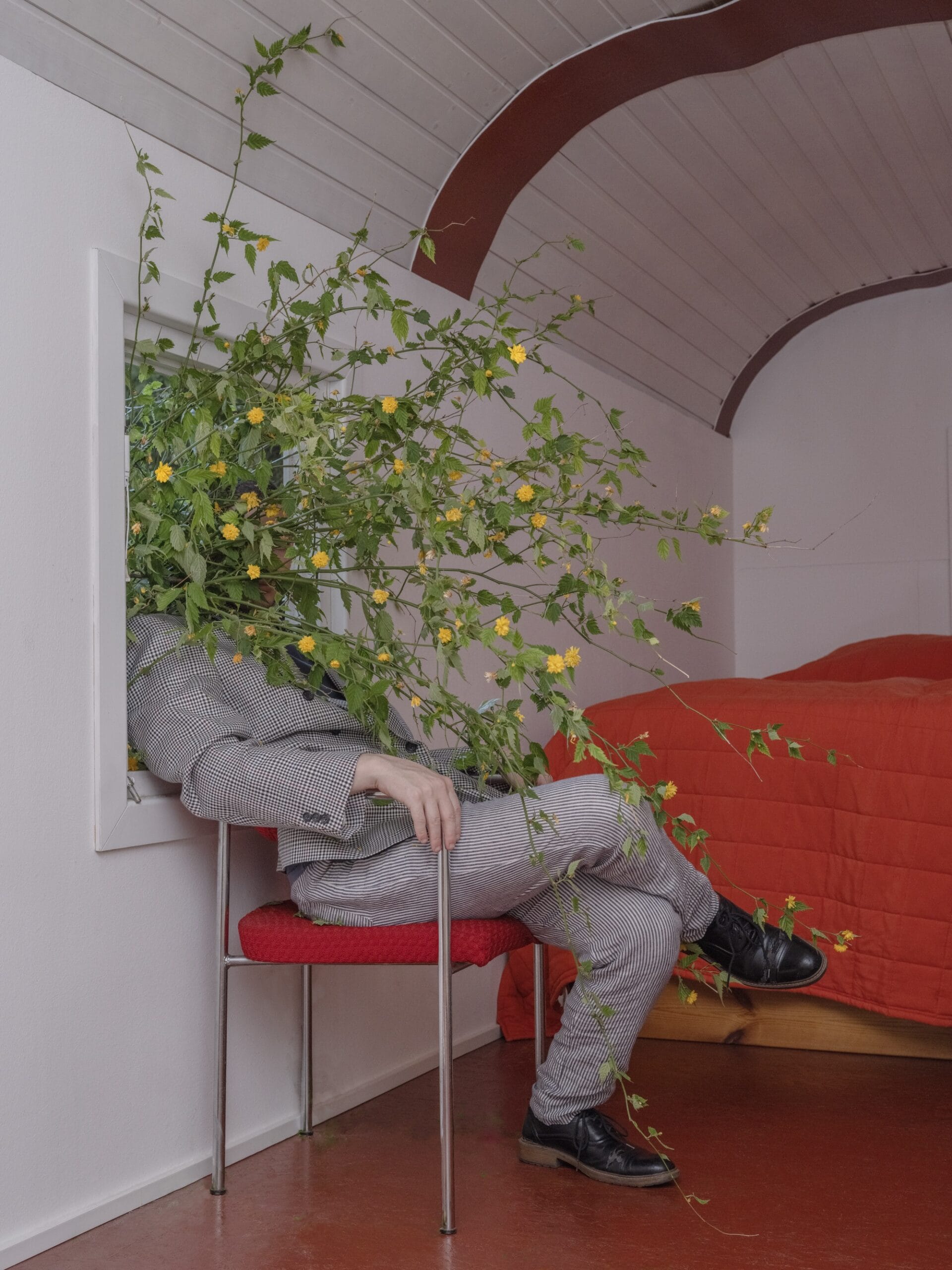 a man in a gray suit seated in a red chair is obscured by weeds bursting through a window